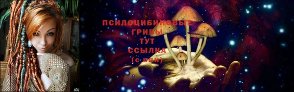 скорость Алзамай