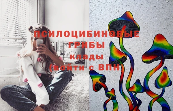 MDMA Новодвинск
