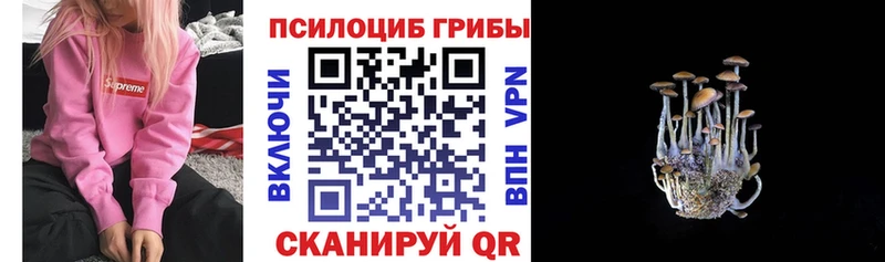 Галлюциногенные грибы мицелий  даркнет сайт  Анапа 